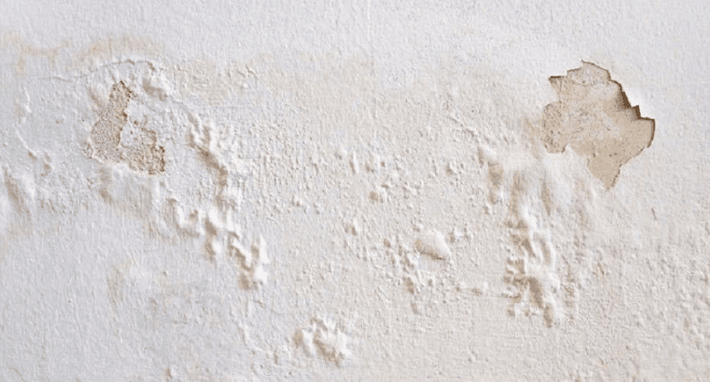 how-to-fix-moldy-or-peeling-walls-in-a-few-minutes-without-hiring-a-technician