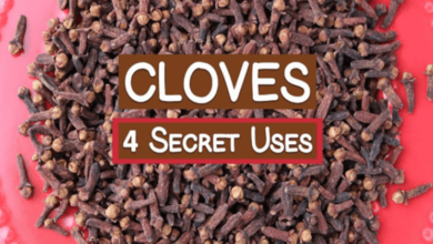 4-secret-uses-of-clove-spice