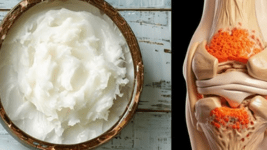 foods-to-rebuild-knee-cartilage:-this-is-what-you-should-eat!-