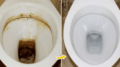 very-clean-toilets:-3-foolproof-tricks-with-white-vinegar