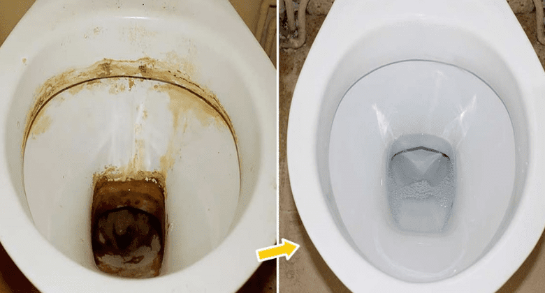 very-clean-toilets:-3-foolproof-tricks-with-white-vinegar