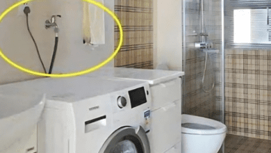 should-the-washing-machine-be-unplugged-after-use?