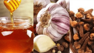 the-health-benefits-of-mixing-garlic,-cloves,-and-honey:-a-natural-remedy-for-15-ailments