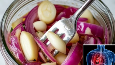 recipe-for-red-onion,-garlic,-and-honey-to-tre:at-lungs,-cough,-and-colds