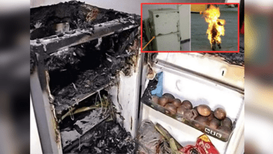 6-extremely-dangerous-mistakes-that-cause-the-refrigerator-to-explode-like-a-bomb,-almost-every-house-makes-them