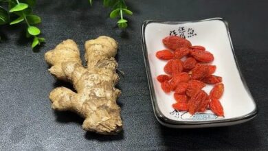 goji-berries-and-ginger:-a-natural-health-boost-that-delivers-results