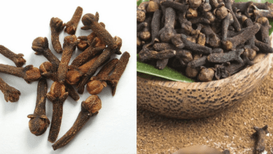 4-secret-uses-of-clove-spice-you-need-to-know