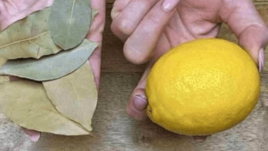 clear-your-lungs-and-stop-coughing:-2-easy-recipes-with-bay-leaf-and-honey