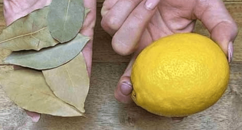 clear-your-lungs-and-stop-coughing:-2-easy-recipes-with-bay-leaf-and-honey