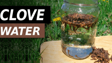 drink-clove-water-for-these-amazing-benefits