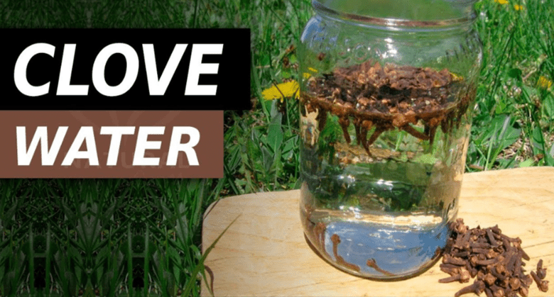 drink-clove-water-for-these-amazing-benefits