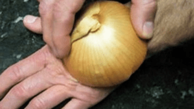 8-ingenious-ways-to-use-onion-at-home