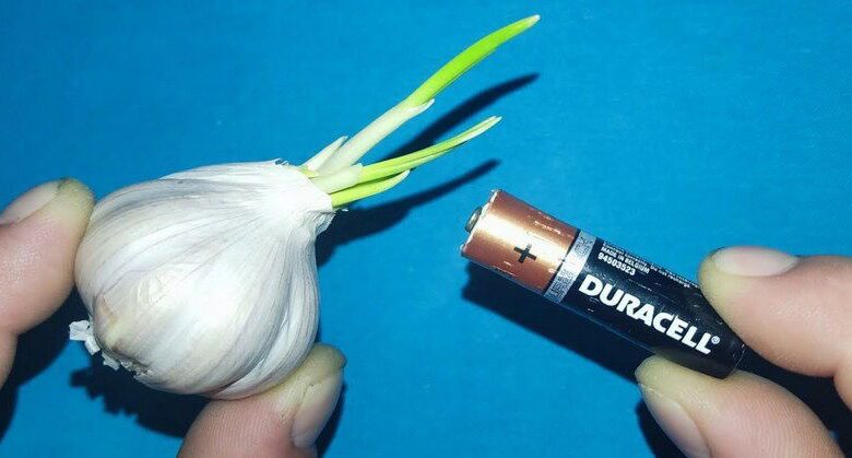 just-use-garlic,-and-your-old-batteries-can-be-reused!-don’t-need-to-buy-new-batteries-again!