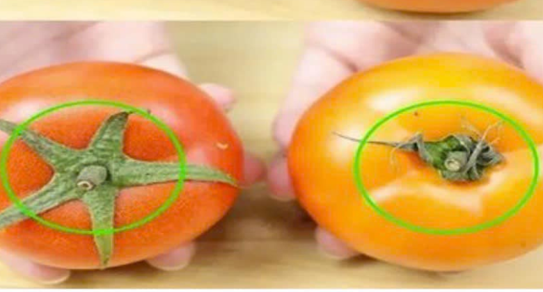 the-way-to-distinguish-naturally-ripened-tomatoes