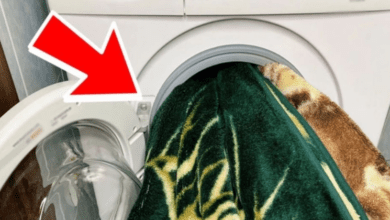 5-things-you-should-never-put-in-the-washing-machine