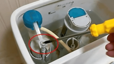 toilet-flushing-weak-and-no-suction?-here’s-a-tip-to-help-you-avoid-wasting-money-calling-a-plumber