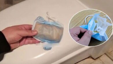 use-a-disposable-mask-this-way,-and-you-toilet-will-stay-clean-and-odor-free-all-year-round