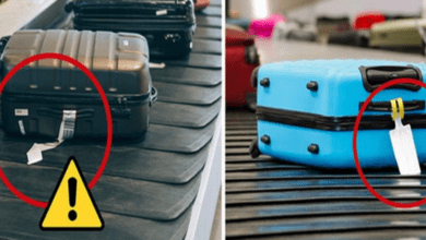 be-careful-not-to-write-these-words-on-your-checked-baggage