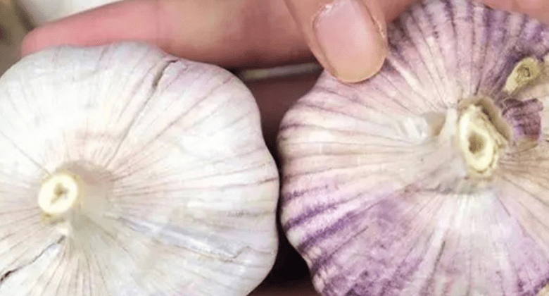 should-i-buy-white-garlic-or-purple-garlic?