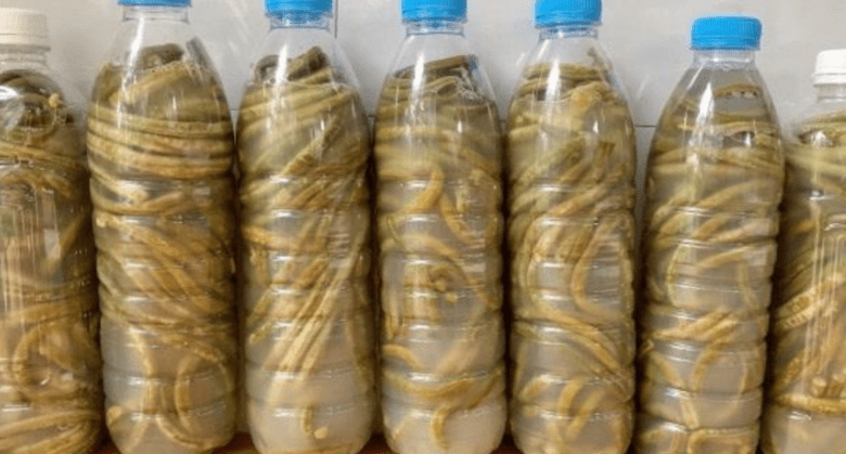 banana-peels:-put-them-in-a-bottle-and-discover-their-incredible-uses!