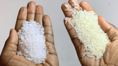 mix-rice-and-salt:-a-hidden-household-secret