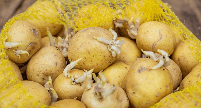 this-amazing-trick-stops-your-potatoes-from-sprouting