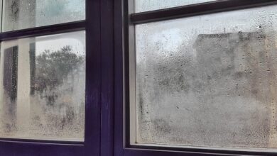 this-simple-hack-stops-condensation-on-your-windows