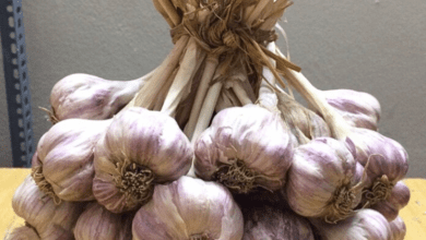 9-things-to-avoid-when-eating-garlic-–-you’ll-thank-yourself-later