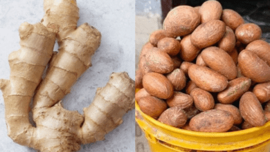 boost-male-stamina-naturally:-a-proven-ginger-and-bitter-kola-recipe