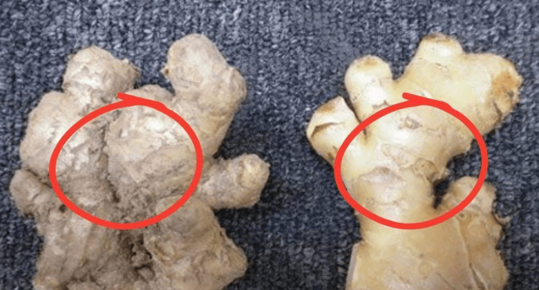 buying-ginger:-smooth-or-rough-skin?