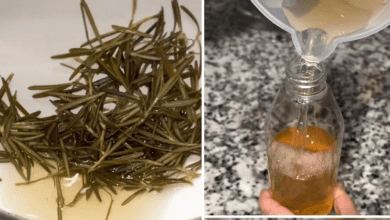 benefits-of-bay-leaf-water-for-hair-and-how-to-prepare-it