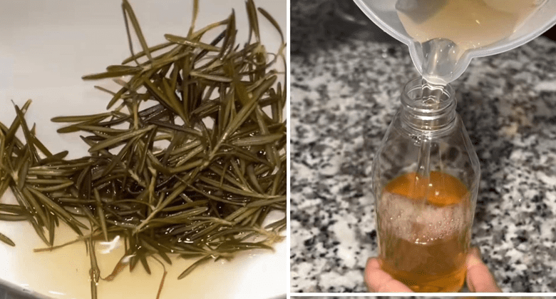 benefits-of-bay-leaf-water-for-hair-and-how-to-prepare-it