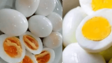 if-you-eat-eggs-every-day,-this-is-what-will-happen-to-your-body