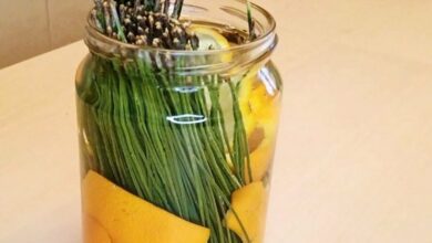 create-a-natural-air-freshener-with-pine-needles-and-orange-peel