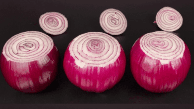 the-bl00d-sugar-lowering-powers-of-red-onions:-a-nutritional-treasure