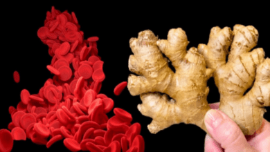 how-to-clean-blood-vessels-from-plaques-and-blood-clots-in-5-simple-steps-using-ginger