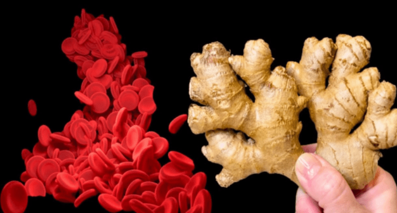 how-to-clean-blood-vessels-from-plaques-and-blood-clots-in-5-simple-steps-using-ginger