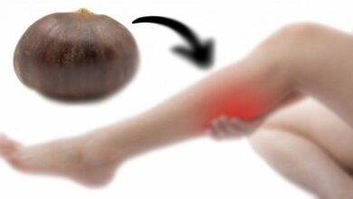 discover-the-power-of-chestnuts-as-a-natural-remedy-for-muscle-spasms