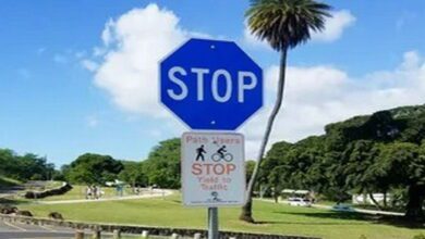 if-you-see-a-blue-stop-sign,-here’s-what-it-means