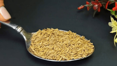 transform-your-health:-the-remarkable-benefits-of-cumin-for-weigh.t-loss