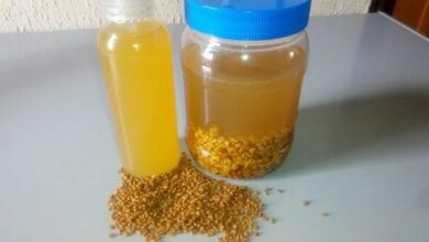 how-to-make-fenugreek-water-for-faster-hair-growth-and-to-stop-hair-fall