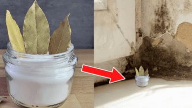 the-hidden-gem-of-home-cleaning:-bay-leaf-and-baking-soda