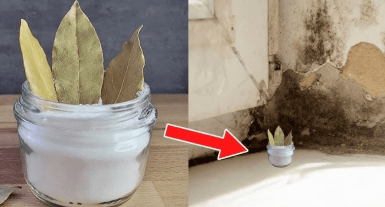 the-hidden-gem-of-home-cleaning:-bay-leaf-and-baking-soda