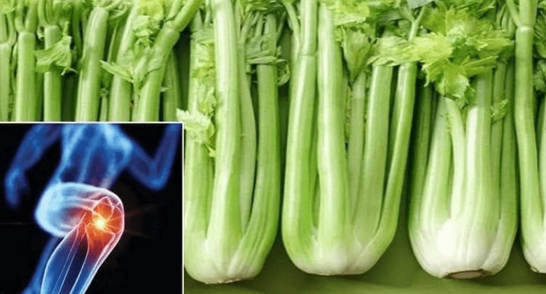 celery-water-is-diuretic-and-depurative:-benefits-and-healthy-uses