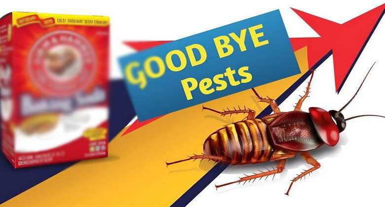 7-natural-hacks-to-get-rid-of-household-pests-quickly-and-safely!