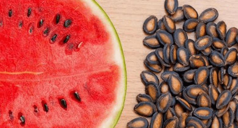 the-surprising-benefits-of-drinking-watermelon-seed-tea-–-here’s-the-recipe!