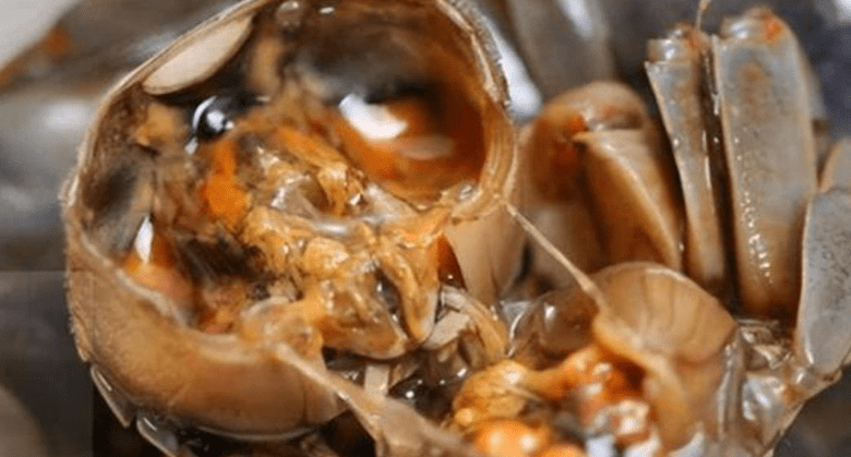 there-are-many-parasites-in-the-following-four-foods