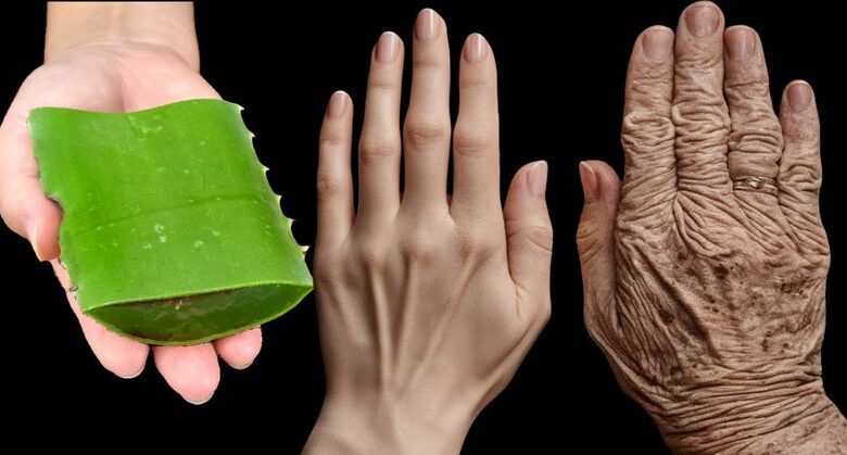 new-japanese-trick!-apply-to-the-skin-even-at-70-with-aloe-vera