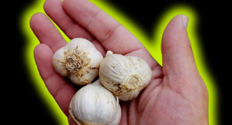 garlic-soup-–-a-delicious-and-healthy-boost-for-your-body!