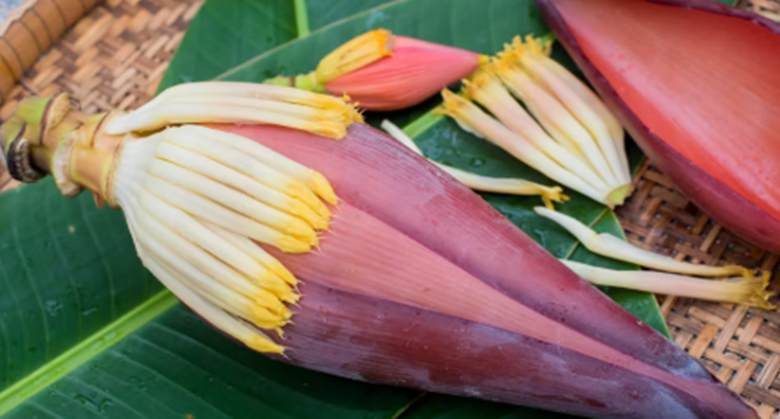 banana-blossom-remedies:-natural-treatment-for-diabetes,-stomach-issues,-and-high-blood-pressure-